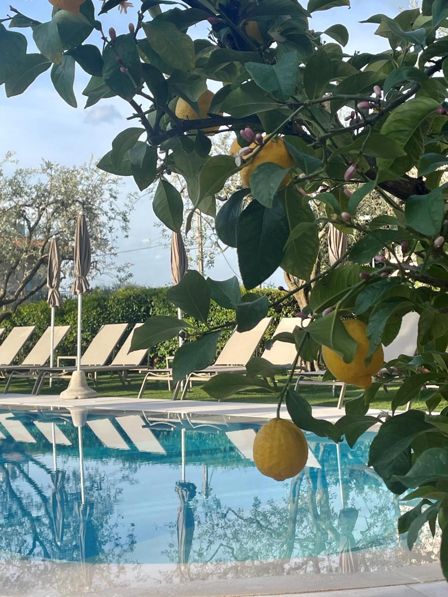 Hotel Al Sole Bardolino Eksteriør bilde